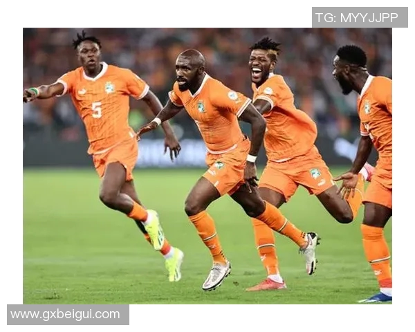 科特迪瓦足球明星盘点及其在国际赛场上的辉煌成就