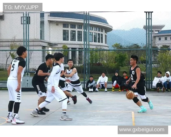 全明星篮球坤坤带你领略不一样的篮球魅力与激情对决